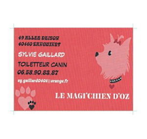 LE MAGI’CHIEN D’OZ