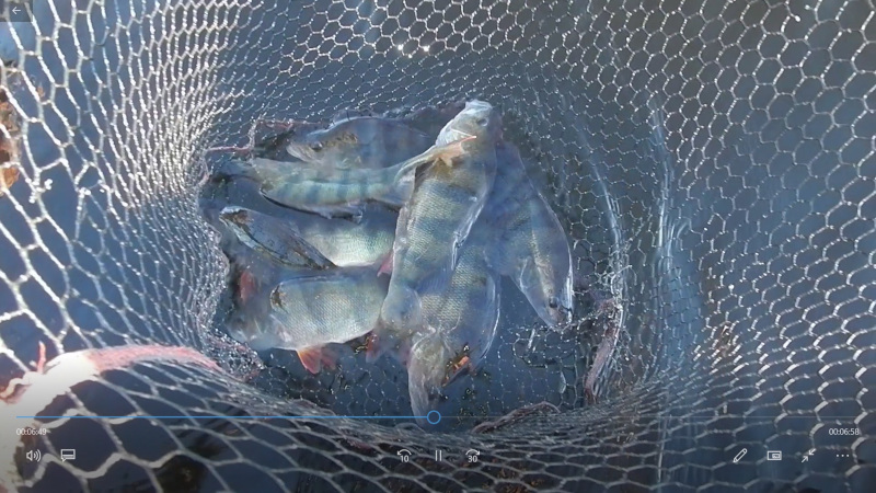 _CIMAP PESCA LAS LANDAS (o30)