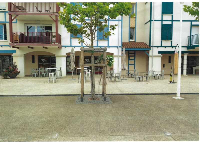 PLAISIRS DES PAPILLES (o1)