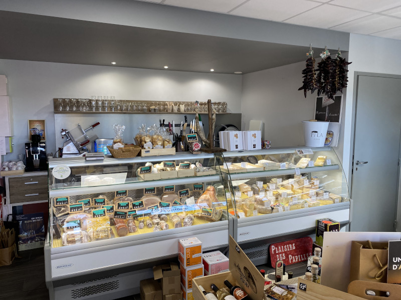 PLAISIRS DES PAPILLES (o4)