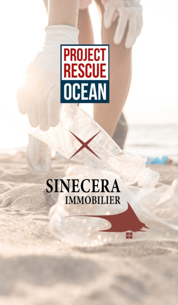 SINECERA IMMOBILIER (o1)