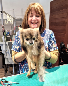 20230209_144343 Le Magi'chien D'oz