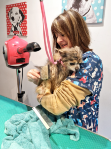 Houdini sortie du bain Le Magi'chien D'oz