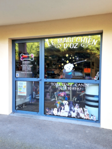 Le Magi'Chien d'Oz Le Magi'chien D'oz