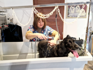 Maya au bain Le Magi'chien D'oz