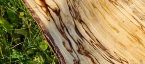 gros plan OK La Grange d'Abel