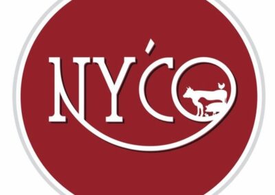BOUCHERIE NY&rsquo;CO